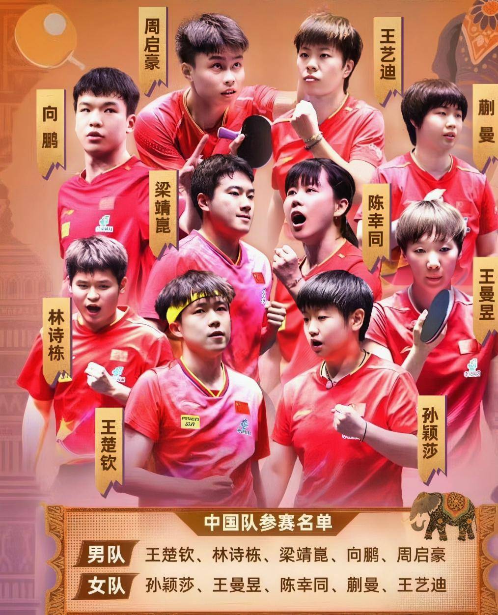 亚冠精英赛直播-开云体育官方